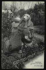[Tombe de Mireille] Cimetière des Chiens à Asnières-sur-Seine
