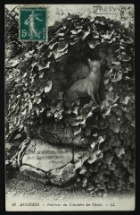 [Tombe de Tarpy] Cimetière des Chiens à Asnières-sur-Seine