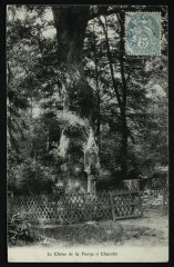 Le Chêne de la Vierge à Chaville à Chaville
