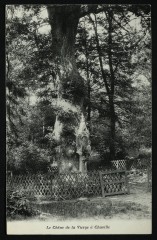 Le Chêne de la Vierge à Chaville à Chaville