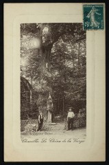 Le Chêne de la Vierge à Chaville à Chaville