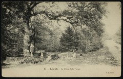 Le Chêne de la Vierge à Chaville