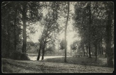 Carte postale ancienne Chaville Allee sous Bois
                                                                     à Chaville
                                