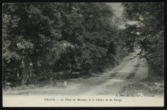 Le Pavé de Meudon et le Chêne de la Vierge à Chaville