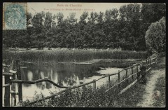 Etang de Brisemiche à Chaville