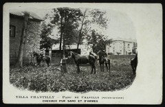 Villa Chantilly - Parc de Chaville - Chevaux pur sang et d'armes à Chaville