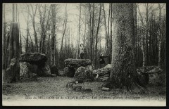 Les dolmens, pierres druidiques à Chaville