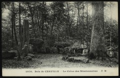Le Chêne des Missionnaires à Chaville