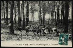 Les Ramasseurs de Châtaignes à Chaville