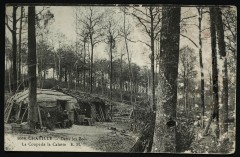 Dans les Bois - La Coupe de la Calotte à Chaville