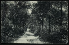 Carte postale ancienne Route Forestière
                                                                     à Chaville
                                