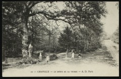 Le chêne de la Vierge à Chaville