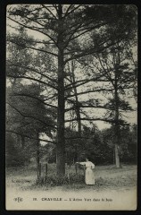 L'Arbre Vert dans le bois à Chaville