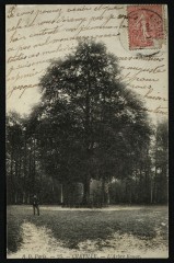 L'Arbre Rouge -
																					92370 Chaville
																			