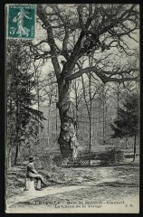 Le Bois de Meudon-Clamart - Le Chêne de la Vierge à Chaville