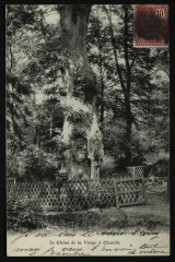 Le Chêne de la Vierge à Chaville à Chaville