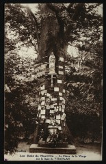 Le Chêne de la Vierge sur la ligne de Viroflay à Chaville