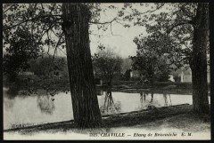 Etang de Brisemiche à Chaville