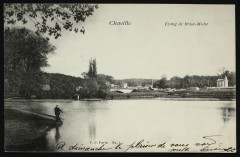 Etang de Brise-Miche à Chaville