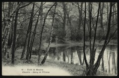 Etang de l'Ursine à Chaville