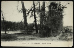Etang de l'Ursine à Chaville