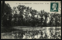 Etang d'Ursine à Chaville