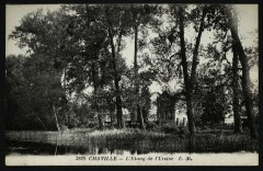 Etang de l'Ursine à Chaville