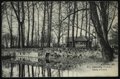 Etang d'Ursine à Chaville