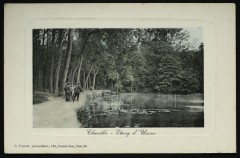 Etang d'Ursine à Chaville