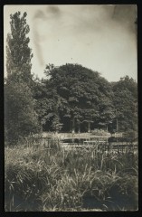 Etang des Ecrevisses à Chaville