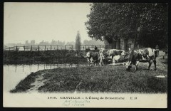 L'Etang de Brisemiche à Chaville