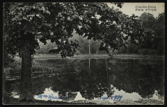 Etang d'Ursine à Chaville