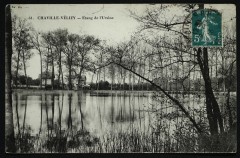 Etang de l'Ursine à Chaville