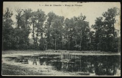 Etang de l'Ursine à Chaville