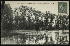 L'Etang de l'Ursine à Chaville