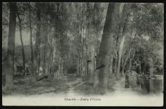 Etang d'Ursine à Chaville