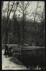 L'Etang de l'Ursine à Chaville