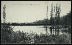 Etang des Ecrevisses à Chaville
