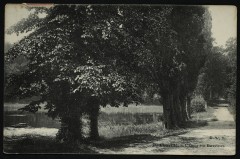 L' Etang aux Ecrevisses -
																					92370 Chaville
																			