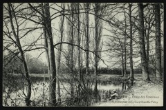Etang des Ecrevisses à Chaville