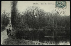 Etang des Ecrevisses à Chaville