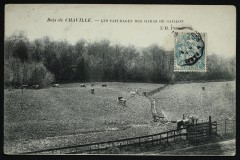 Les Pâturages des Haras de Gaillon à Chaville