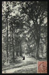 Une allée dans le Bois -
																					92140 Clamart
																			