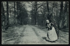 Bois de Clamart - Route Forestière à Clamart