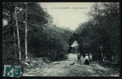 Carte postale ancienne Bois de Clamart - Route Forestière
                                                                     à Clamart
                                