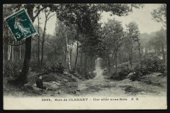 Une allée sous Bois à Clamart