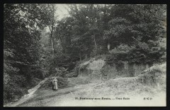 Fosse Bazin -
																					92260 Fontenay-aux-Roses
																			