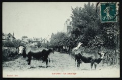 Un pâturage à Garches