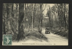 Carte postale ancienne Parc de St-Cloud - Allée de Marnes
                                                                     à Marnes-la-Coquette
                                