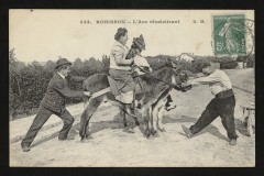 Robinson - L'Ane récalcitrant au Plessis-Robinson
